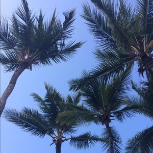 Meet your Posher, Jacie